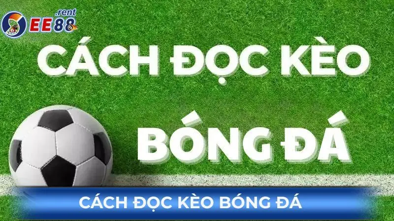 Cách đọc kèo bóng đá chuẩn xác và mới nhất năm 2025 1 Cach-doc-keo-bong-da