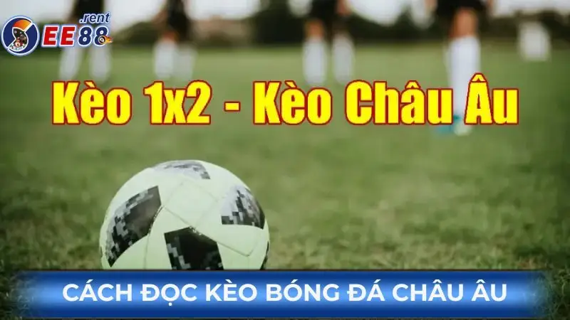 Cách đọc kèo bóng đá chuẩn xác và mới nhất năm 2025 3 Cach-doc-keo-bong-da-chau-Au